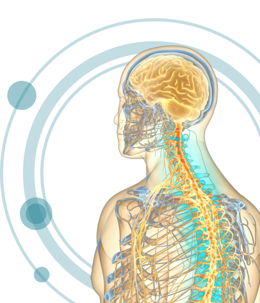 SAVE THE DATE: Mittwoch, den 23.04.2025